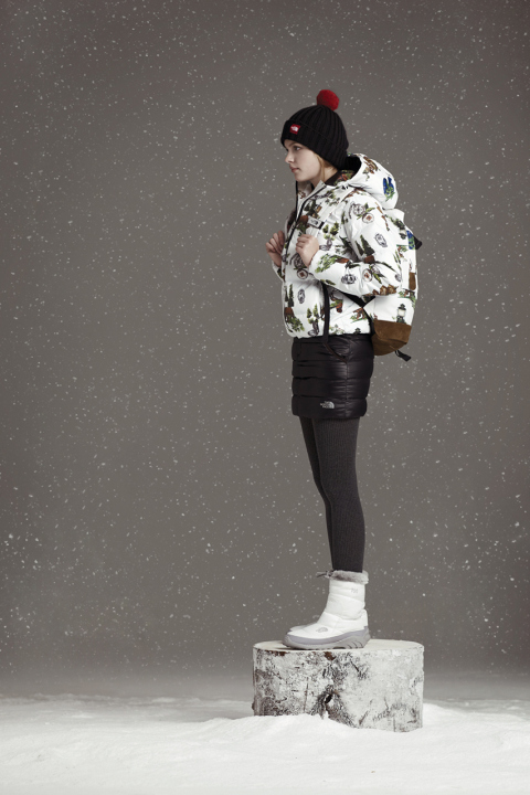 the north face korea white label