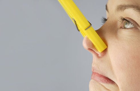 nosepeg.jpg