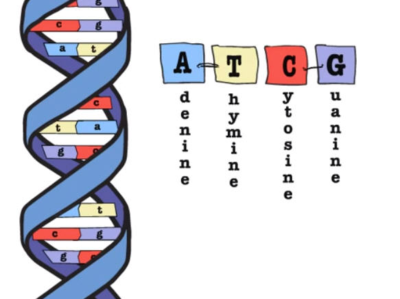 DNA Mapping Will Tell You Everything About You. And Probably Save Your