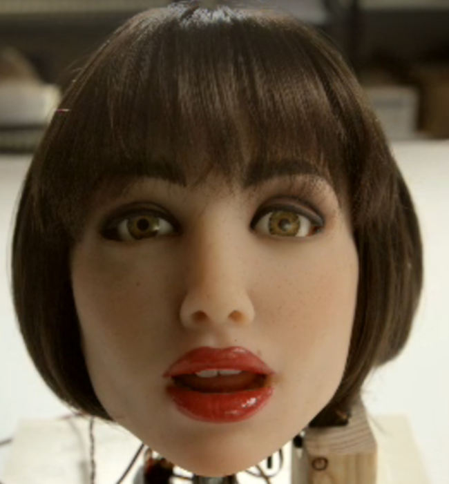 This is a $10,000 head you can attach to the RealDoll, and it will talk and...